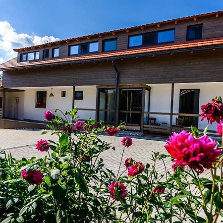 Lina Agropanzio Hotel Tomesti  Bagian luar foto